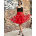 thumbnail image 2 of Jupon des Années 50 Robe Rockabilly Crinoline Tutu Jupons pour Femmes, 2 of 4