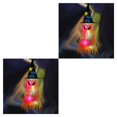 thumbnail image 2 of Bearachild Sombrero con luces LED para vacaciones de Halloween, decoración para fiesta, sombrero colgante, sombrero de brillante, accesorio Type7 NO7, 2 of 6