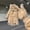 beige, variant on Women's Windproof Touchscreen Gloves, Panda Pattern Winter Warm Gloves