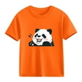 thumbnail image 4 of Spazoro Girls T-Shirts Tee, Cute Print Short Sleeve Crew Neck 100%Cotton Casual Tops for Kids Orange Size 1, 4 of 6