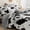 Black/White, variant on Velvet Flannel Queen Comforter Set- Cow Print Western Style Blanket,Luxury Fuzzy Heavy Bedding Set, 3 Pieces Plush Winter Bed Set with Comforter (90"x90") & 2 Pillow Shams (20"x26")