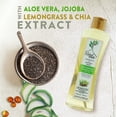 thumbnail image 4 of Arbol Verde Natural Hair Thickening Shampoo with Hispanic Herbs, 16.9 fl oz, 4 of 9