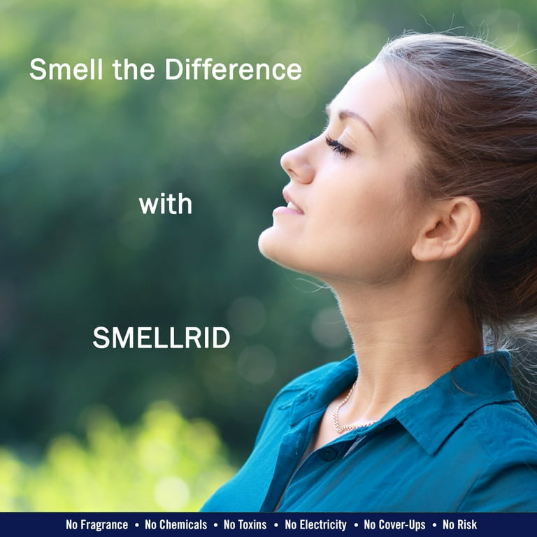 Air purifier 2024 chemical smell