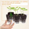 thumbnail image 4 of Gardzen 10 Pack Push-Up Seed Starting Tray, Pop Up Plant Germination Trays, Starter Kit with Adjustable Humidity Vented Dome, 6.6" x 4.5", Total 120-Cell, Clear, 4 of 4