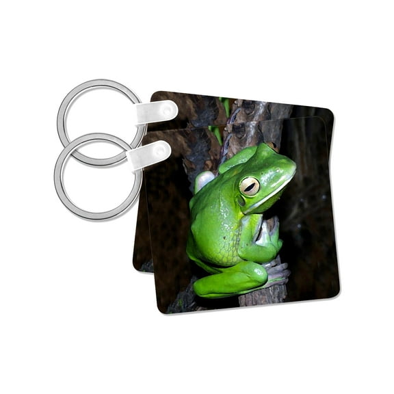 3dRose, Tree Frog, set of 2 Key Chains
