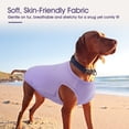 thumbnail image 6 of IDOMIK 2 Pack Dog Shirts UPF 50+ UV Sun Protection, Breathable and Lightweight Summer Clothes for Medium Dogs, M, 6 of 7