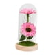 thumbnail image 2 of Girasol en cúpula de cristal Regalos Lámpara de girasol para mujeres Mamá Esposa Abuela Amiga Estilo B, 2 of 9