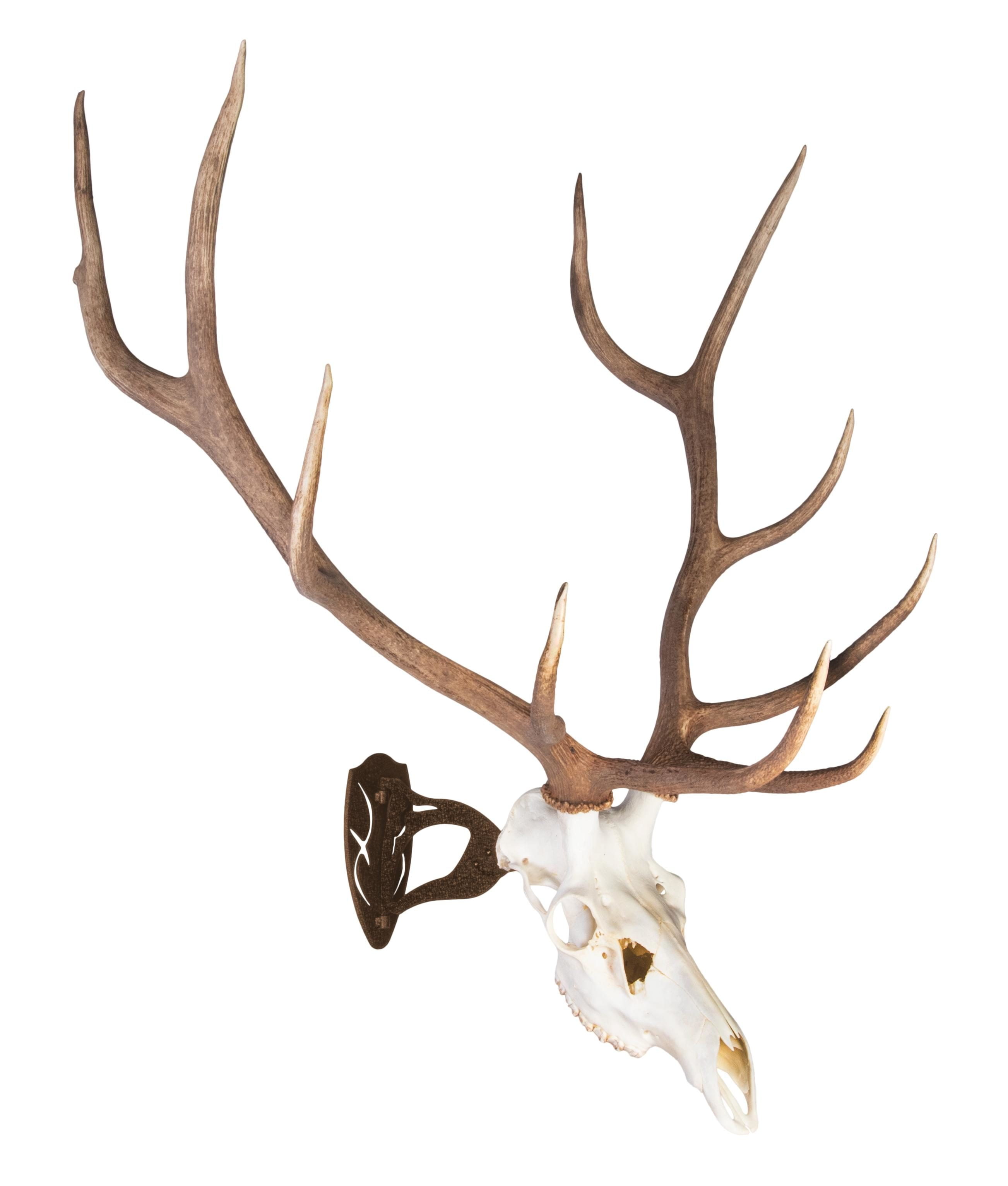 17cd6434-db4d-4f9d-851e-