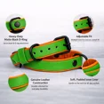 thumbnail image 3 of Dog Collar. Handmade Genuine Leather Dog Collar – Green with Orange Inner Liner, Adjustable Buckle. Buddies Collars, 3 of 5