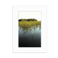 thumbnail image 1 of Marco de fotos Unbranded Hierba en El Lago 5x7 pulgadas, 1 of 4
