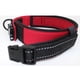 thumbnail image 5 of Collar ajustable de moda para perro, cachorro y gato, 5 of 9
