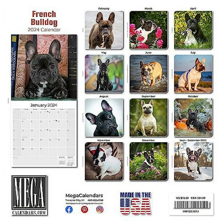 2023 2024 French Bulldog Calendar - Dog Breed Monthly Wall Calendar - 12 x  24 Open - Thick No-Bleed Paper - Giftable - Academic Teacher's Planner  Calendar Organizing & Planning - Made in USA - Walmart.com