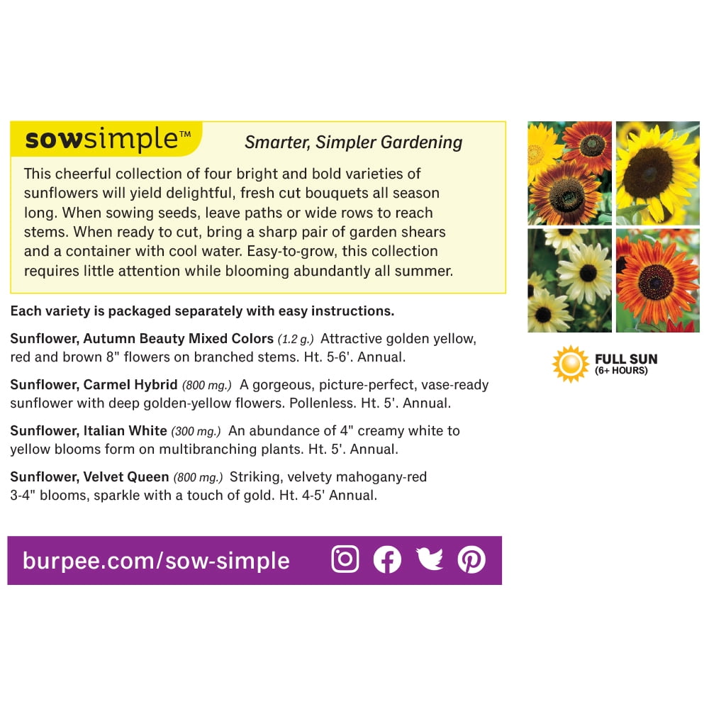Burpee All Summer Sunflower Cutting Garden Starter Garden Flower Seed Collection, 1-Pack