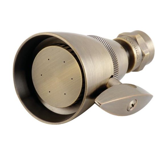 2.25 in. O.D. Adjustable Shower Head, Antique Brass