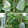 thumbnail image 3 of Fruit Protection Bags Anti-Bird Garden Netting Bags Strawberry Grapes Mesh Bag White, 3 of 9