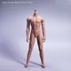 thumbnail image 3 of Ounissouiy masculina sin cabeza Sexy Muscle escala 1/6 figuras de acción de acero inoxidable coleccionable en miniatura mediana para Muñecas y casas de muñecas Color de piel, 3 of 6