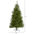 thumbnail image 7 of Nearly Natural 6ft. Springfield Artificial Christmas Tree, 7 of 7