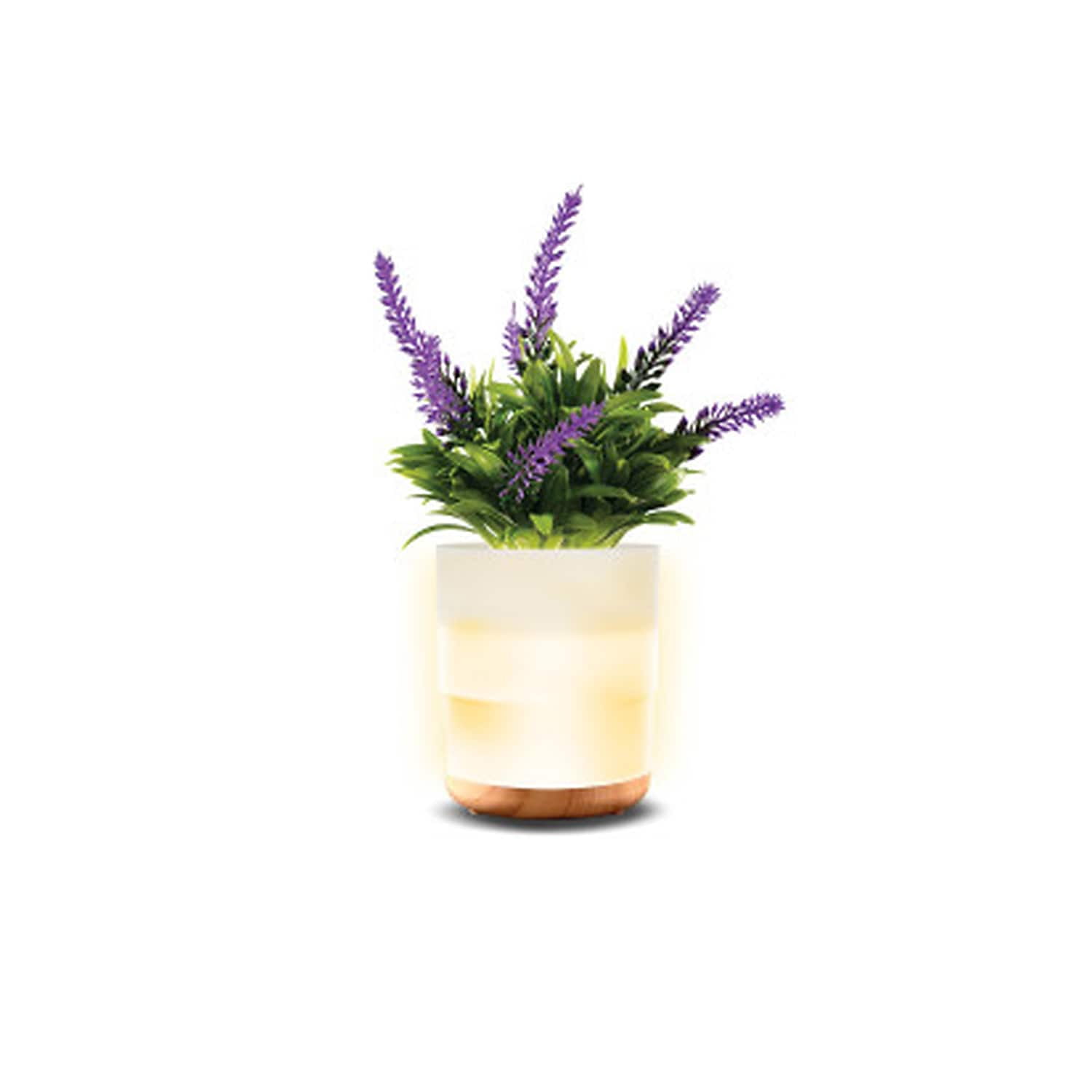 Lomi Lavender Plant Aroma Diffuser (LOMD96)
