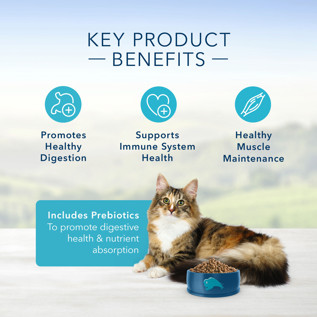 blue buffalo sensitive stomach