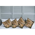 thumbnail image 2 of Ambesonne Rustic Throw Pillow Cover 4 Pack, Grunge Old Door, 20", Multicolor, 2 of 7