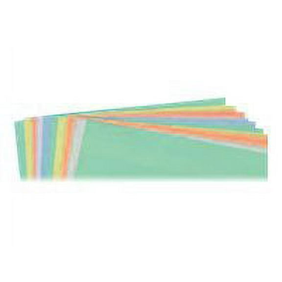 Magna Visual - Magnetic label holder insert - 8.5 in x 10.98 in - assorted (pack of 10)