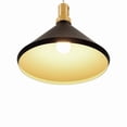 thumbnail image 4 of Yosemite BS27217 Noir One Light Pendant - Black, 4 of 6