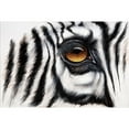 thumbnail image 3 of Plath, Jutta 14x11 Black Modern Framed Museum Art Print Titled - Zebra Augenblick, 3 of 5