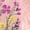 Z1-Pink, variant on HongQid Womens Embroidered Tops Casual Summer Boho T Shirts Loose Fit Short Sleeve Linen Floral Blouses