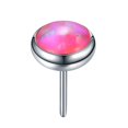 thumbnail image 1 of 10Pcs Surgical Steel Threadless Push Pin Labret Ring Lip Piercing Opal Top Ear Cartilage Helix Tragus Stud Body Piercing Jewelry ZR, 1 of 6