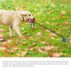 thumbnail image 2 of Al aire libre Tug Toy War para perro Molar Bite Squeaky Rope, 2 of 8