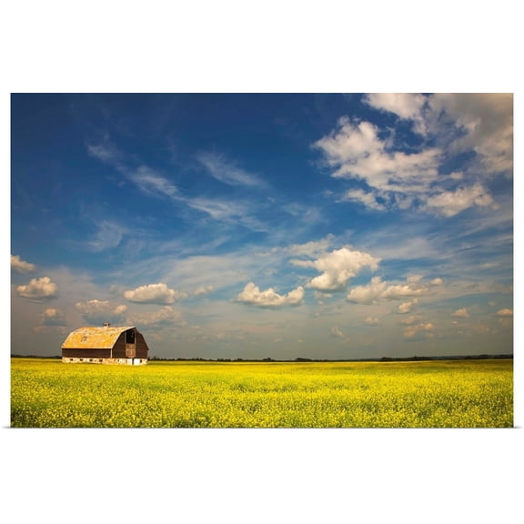 Great BIG Canvas | Rolled Darren Greenwood Poster Print entitled Alberta, Canada; An Old Barn In A Field