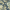 Navy, variant on Better Homes & Gardens Navy Isolda Jacobean Peel and Stick Wallpaper, 20.5" x 18'