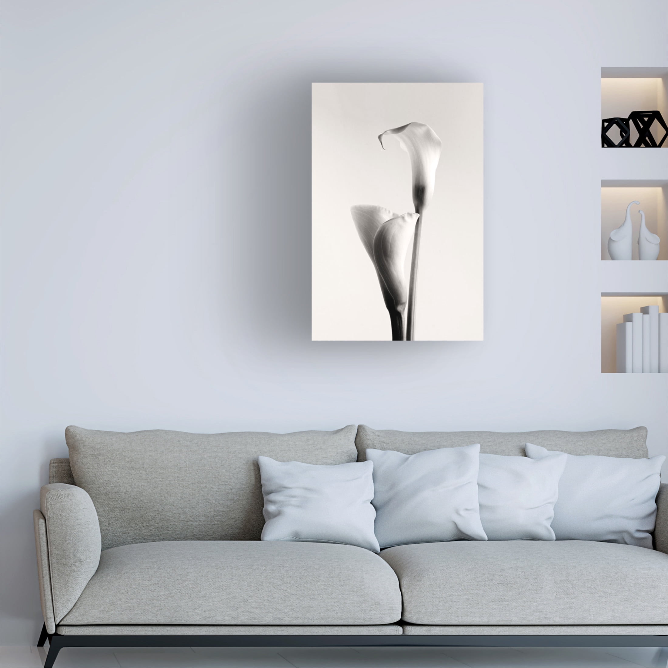 Canvas Wall Art - Calin Hanchevici 'Calla' Wall Art for Living Room, Bedroom, or Office Décor by Trademark Fine Art - 22 x 32 Inches