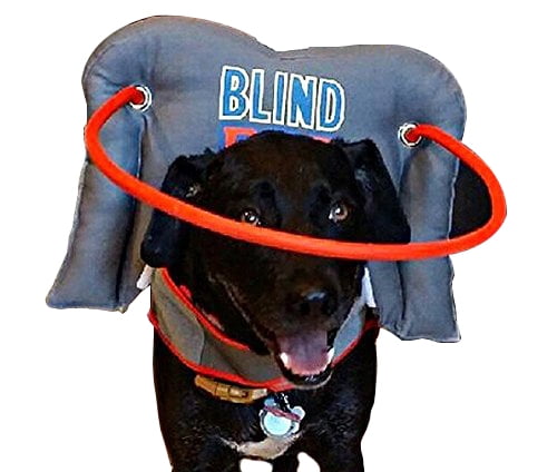 blind dog halo walmart