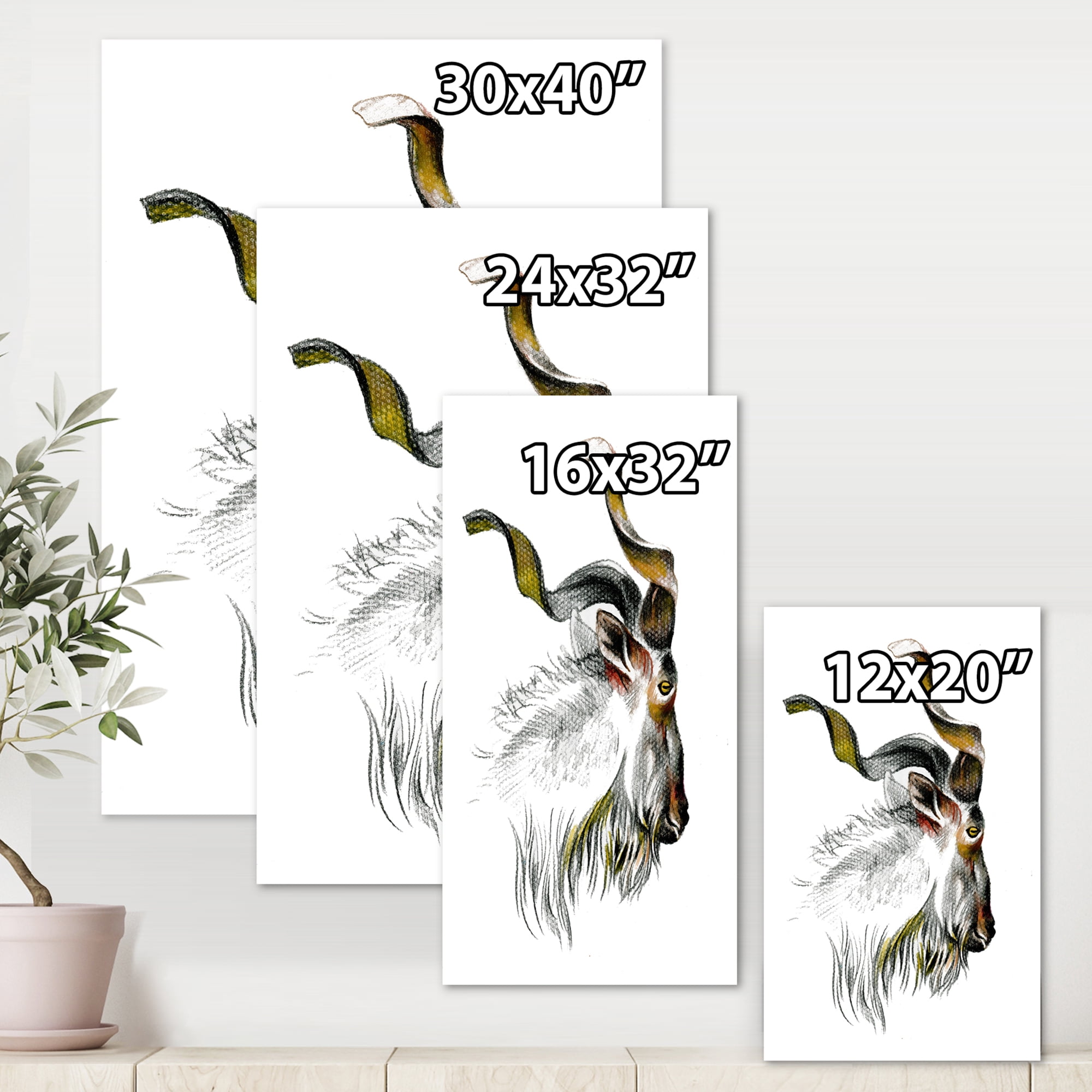 Designart ' Black and White Portrait Of Goat II ' Farmhouse Canvas Wall Art Print