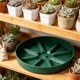 thumbnail image 4 of YiJuHui Plant Saucers for Pots Indoor Outdoor, Thickened Plastic Plant Drip Trays, Round Flower Pot Saucer with Deep Reservoir, Water Catch Tray for Succulents, Potted Plants, Home Garden Decor, 4 of 6
