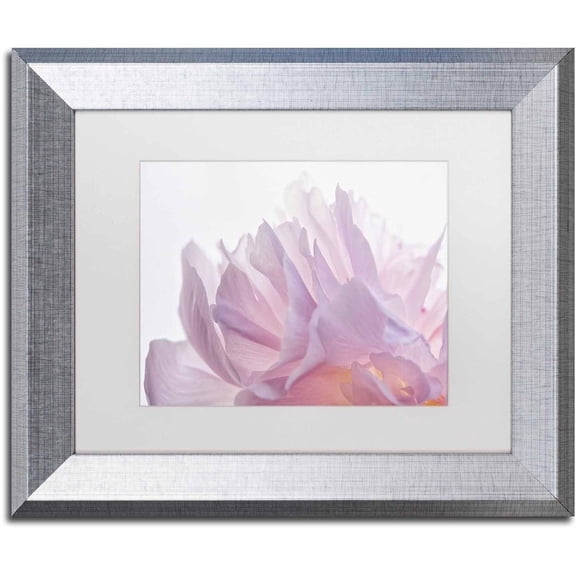 Trademark Fine Art 'Pink Peony Petals VI' Canvas Art by Cora Niele, White Matte, Silver Frame