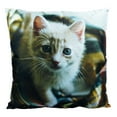 thumbnail image 1 of Cat | Cute Cat | Cat Pillow | Cat Gifts | Cat Decor | Cat Photo | Gifts for Cat Lovers | Accent pillow | Throw Pillow Covers, 1 of 4