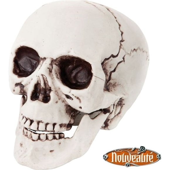 Plastic Skull - Decorative Skull - Plastic - Resin - 21x17x18cm