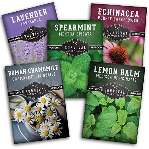 Survival Garden Seeds Herbal Tea 5 Herb Packets  - Lavender, Mint, Echinacea, Lemon Balm, Roman Chamomile - Full Sun