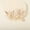 Golden HS-J6124, variant on Bridal headwear handmade pearl metal flower hair clip, summer forest style high-end duckbill clip