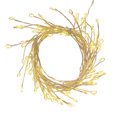 thumbnail image 1 of HOLIDAY TIME PL BO 80 LED Petards WW – Éclat Festif pour Toutes les Occasions, 1 of 4