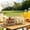 Clear C, variant on WIZUTIZ Two-Compartment Acrylic Snack Platter Fruit Serving Tray with Gold Metal Rack Commercial Plating for Bars Restaurants Home