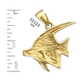 thumbnail image 2 of 14K Gold Aquatic Angelfish Pendant, 2 of 5