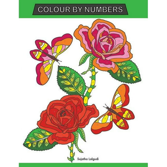 Colour by Numbers: Large Print Colour By Number Butterflies, Birds, and Flowers Adult Colouring Book, (Paperback)