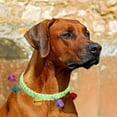 thumbnail image 5 of Collier pour Animaux en Acrylique Doux pour Petits Chats et Chiens Confortable Léger Design Réglable pour Usage Intérieur et Extérieur avec Accessoire Décoratif, 5 of 5