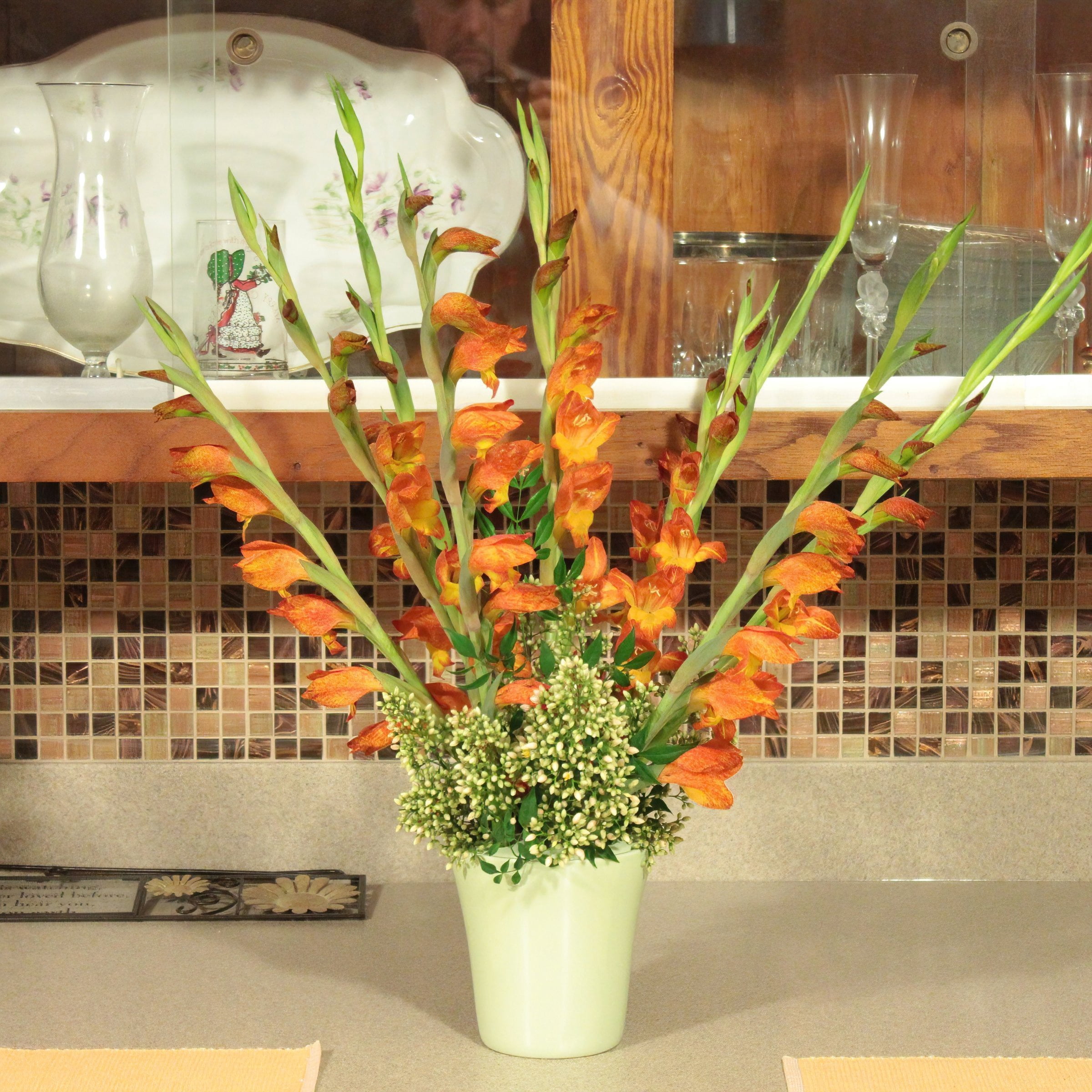 National Plant Network Gladioli Cornelli Bulbs (10-Pack)
