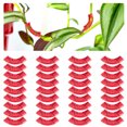 thumbnail image 1 of Labymos Entrenador de plantas de 90 grados, 1 of 8