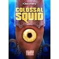 thumbnail image 2 of Colossal Squid (Widescreen), 2 of 3