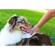 Earthbath 026041 Grooming Dog Wipes, Mango Tango - 100 Count